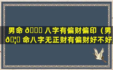 男命 🐒 八字有偏财偏印（男 🦍 命八字无正财有偏财好不好,命运怎么样）